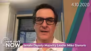 Sen. Deputy Majority Leader Michael Gianaris on State Budget