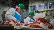 Voters will decide the fate of this Denver slaughterhouse