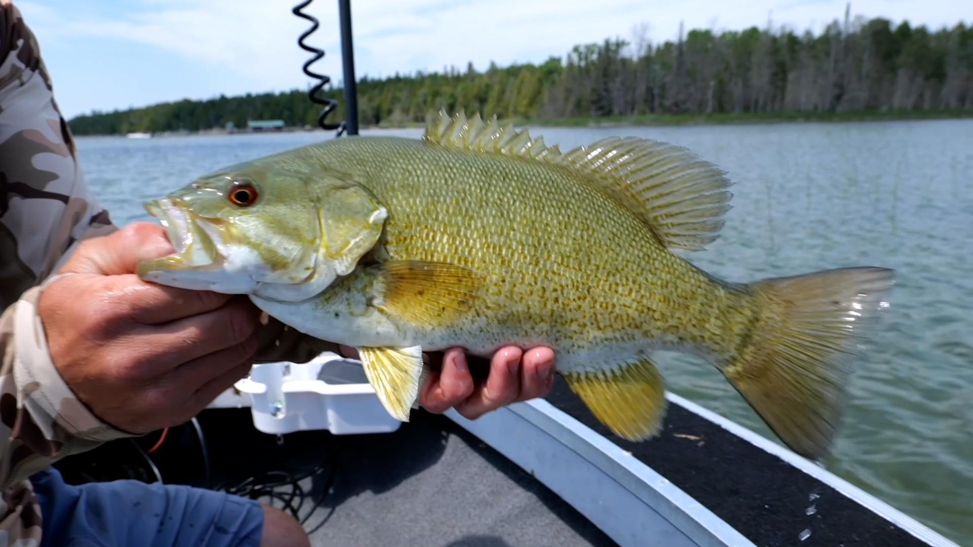 Michigan Out-of-Doors UP Bass Fishing, Bragging Board Season - Main Image