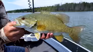 UP Bass Fishing, Bragging Board