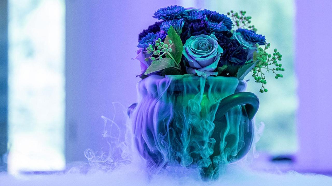 J Schwanke's Life in Bloom Life in Gloom airing Fri, Oct 30 8:00 pm