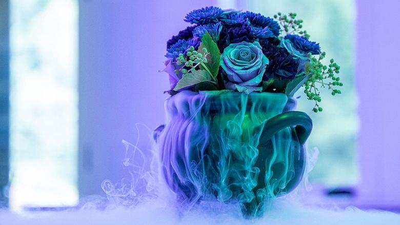 J Schwanke’s Life In Bloom Image