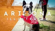 DOGS, THEATRE, PLANTS & MORE