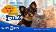 Horseshoe Bat, Vampire Bat and Prada | Mark's Furry Friends Extra