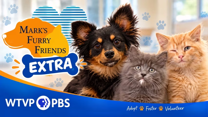 Mark’s Furry Friends