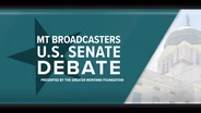 U.S. Senate: Alme, Austin, Bankhead, Bodnar  2026