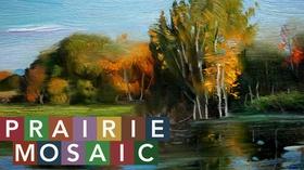 Video thumbnail: Prairie Mosaic Prairie Mosaic 1106