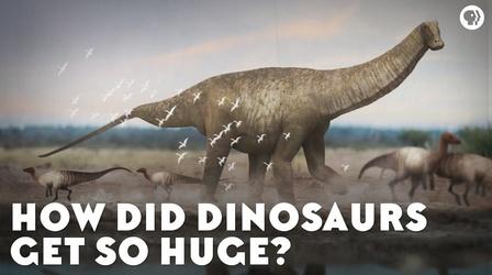 Video thumbnail: Eons How Did Dinosaurs Get So Huge?