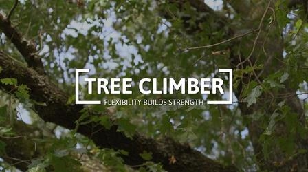 Video thumbnail: Digital Shorts Age of Nature: The Tree Climber