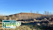 PFAs in Yakima County, Therapy Dogs on Campus and Wenatchee Valley 101: April 2, 2025