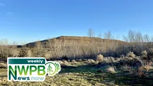 PFAs in Yakima County, Therapy Dogs on Campus and Wenatchee Valley 101: April 2, 2025