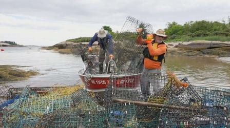 Video thumbnail: PBS NewsHour Why 'ghost gear' is being removed from the Gulf of Maine