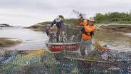Why 'ghost gear' is being removed from the Gulf of Maine