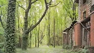 NORTH BROTHER ISLAND