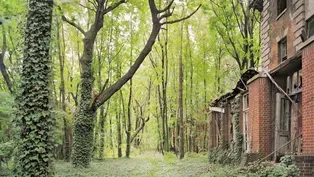 NORTH BROTHER ISLAND