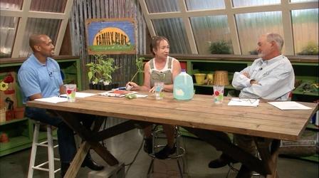 Video thumbnail: The Family Plot Tomatoes & Pesticides