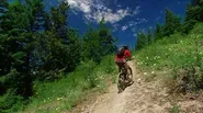 Hit The Trail