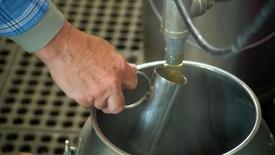 Maple Syrup Tapping: asset-mezzanine-16x9