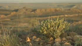 Video thumbnail: We Shall Remain: A Native History of Utah Ute Spirituality
