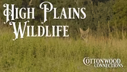 High Plains Wildlife