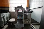 How the video game ‘Stray’ is helping rescue real-life cats