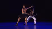 Dada Masilo's Swan Lake: Preview