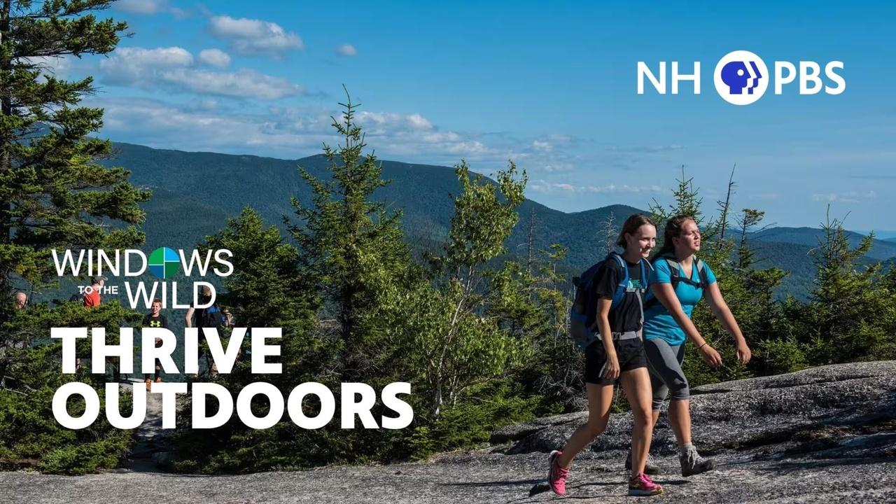 Windows to the Wild | Thrive Outdoors
