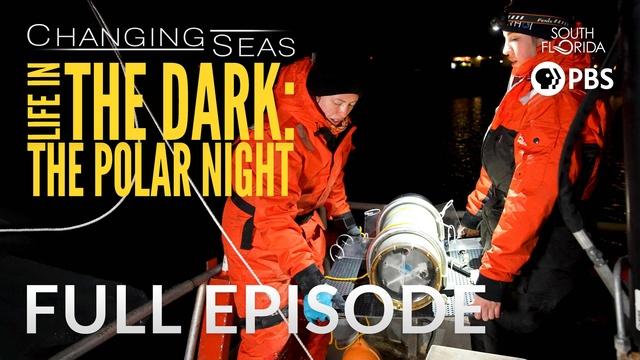 Life in the Dark: The Polar Night