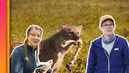 These Death-Eating Scavengers Are Real Life-Savers