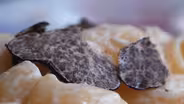 Oregon Truffles | Superabundant