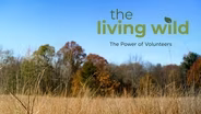 The Power of Volunteers