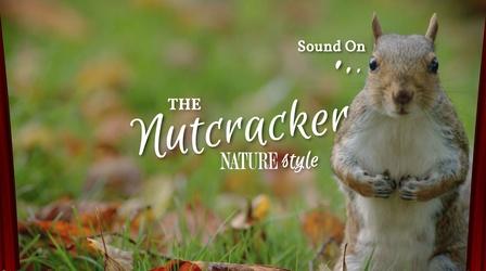 The Nutcracker (NATURE style!)