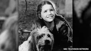 GILBERT: ACTRESS & ACTIVIST