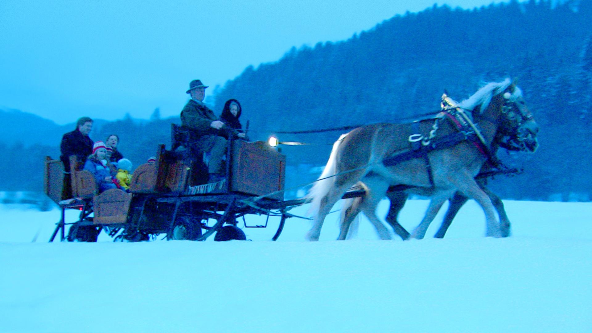 Two horses pulling a sleigh in the snow.
