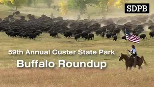 2024 South Dakota Governor's Buffalo Roundup