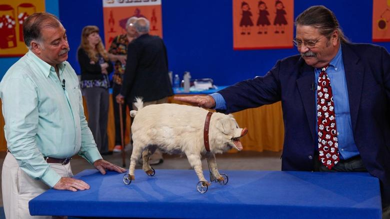 Antiques Roadshow Image