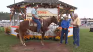 The Missouri Fox Trotter: A Graceful Gait