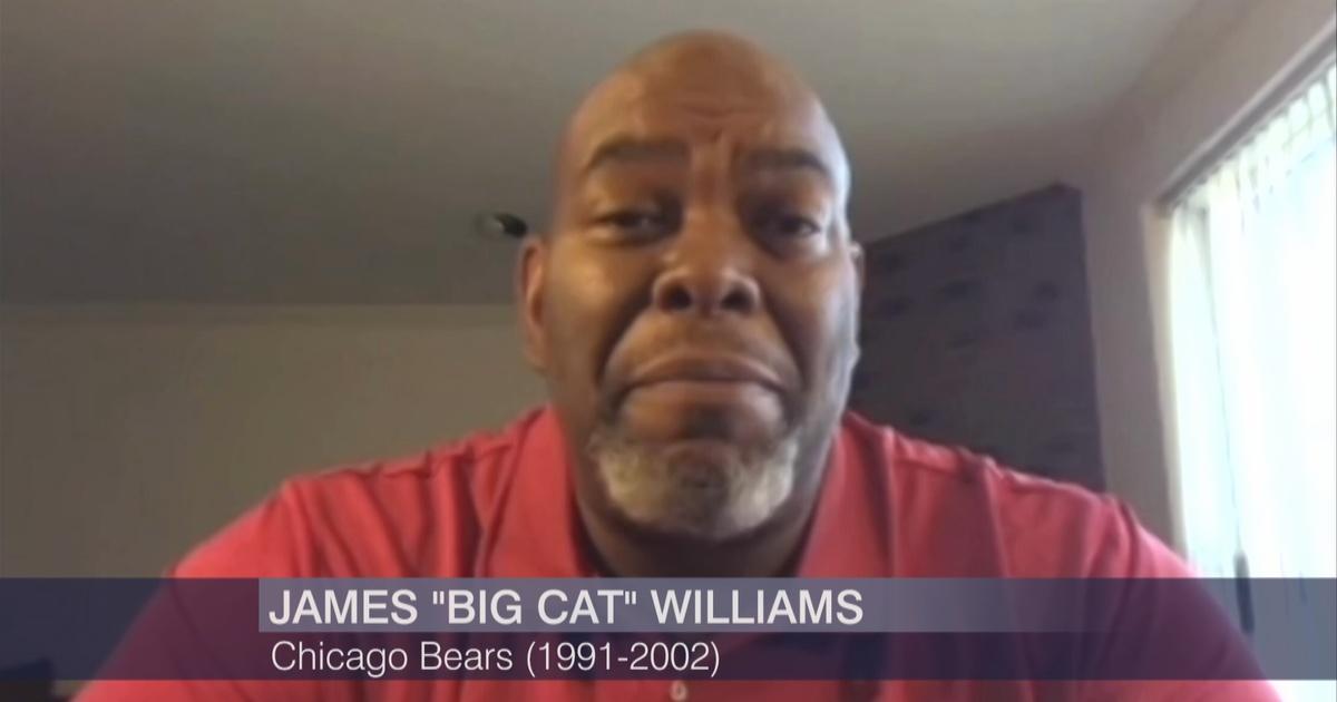 James 'Big Cat' Williams Looks Ahead to New Chicago Bears Season, Chicago  News