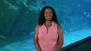 Celebrating 50 Years of the NC Aquariums