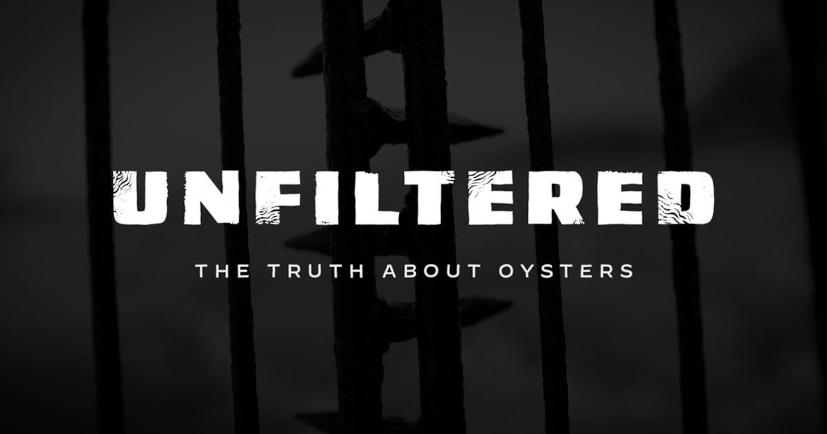 WFSU Documentary & Public Affairs | Unfiltered |The Truth About Oysters | Season 2024 | Episode 21