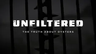 Unfiltered |The Truth About Oysters