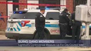 Chicago City Council Members on Gang Forfeiture Ordinance