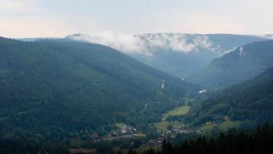Back to The Black Forest
