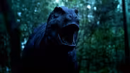 Greatest Standoff: T. Rex vs Triceratops