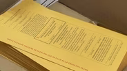 Sweeping Elections Bill Moves Forward