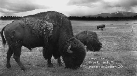 Video thumbnail: Colores In Search of Domínguez and Escalante: Photographing the 1776
