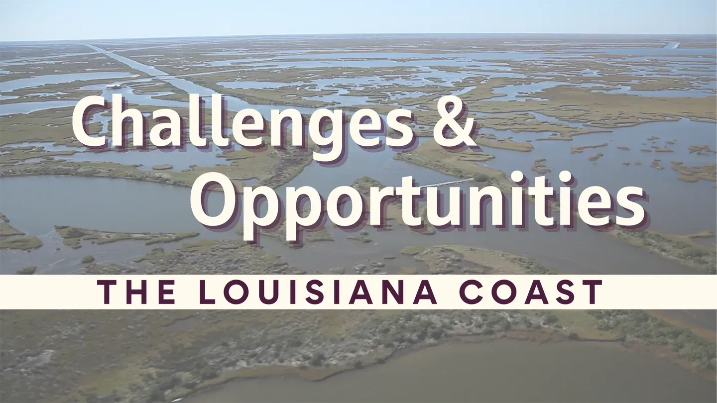 The Louisiana Coast