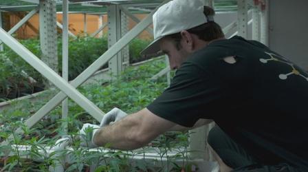 Video thumbnail: SoCal Connected 'Airbnbs Gone Wild' and 'Military Buds'