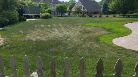 Video thumbnail: Backyard Farmer Backyard Farmer: Digging Deeper: Irrigation ...