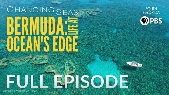 Bermuda: Life at Ocean's Edge